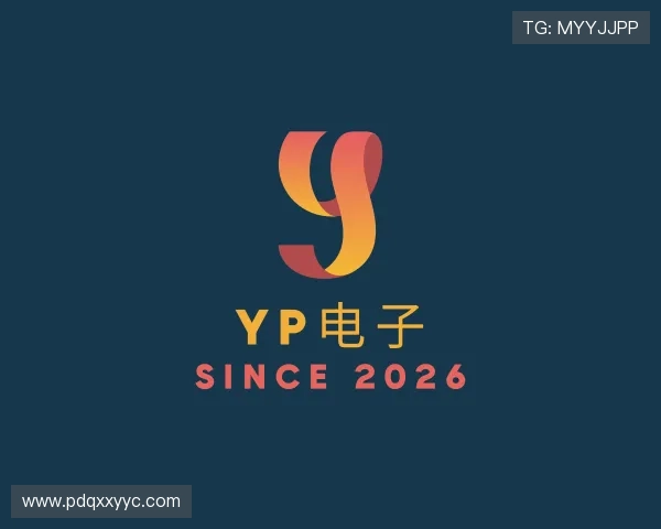 发现YP电子